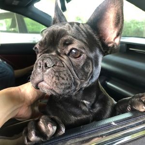 Meet your Posher, Zenia